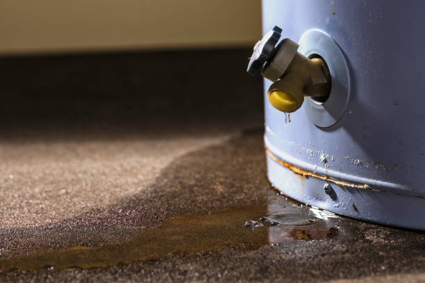 Best Water damage cleanup near me  in Beechwood, MS