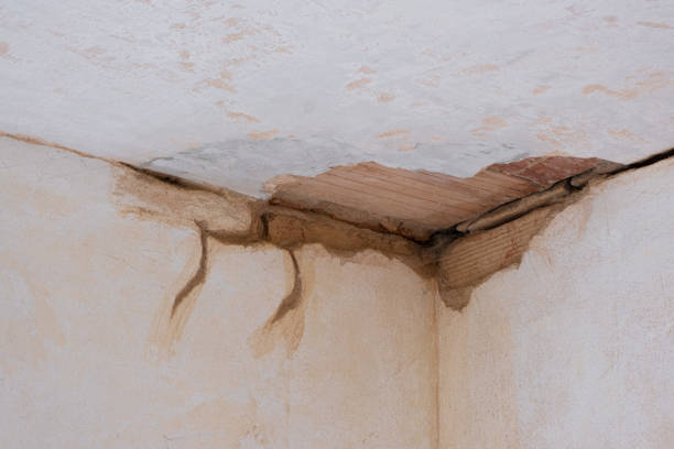 Water damage restoration insurance claims in Beechwood, MS