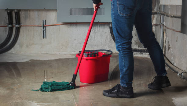 Best Water damage repair service  in Beechwood, MS