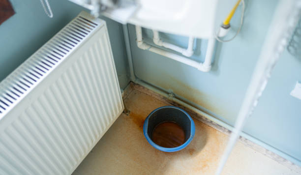 Best Carpet water damage restoration  in Beechwood, MS