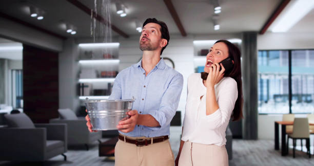 Best Basement water damage restoration  in Beechwood, MS