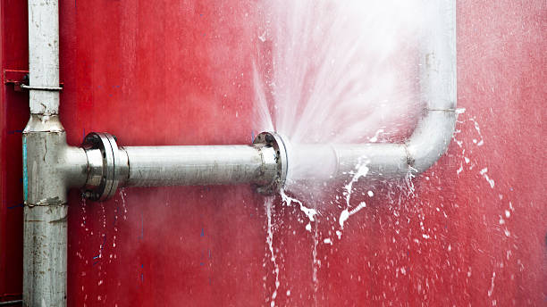 Best Ceiling water damage repair  in Beechwood, MS